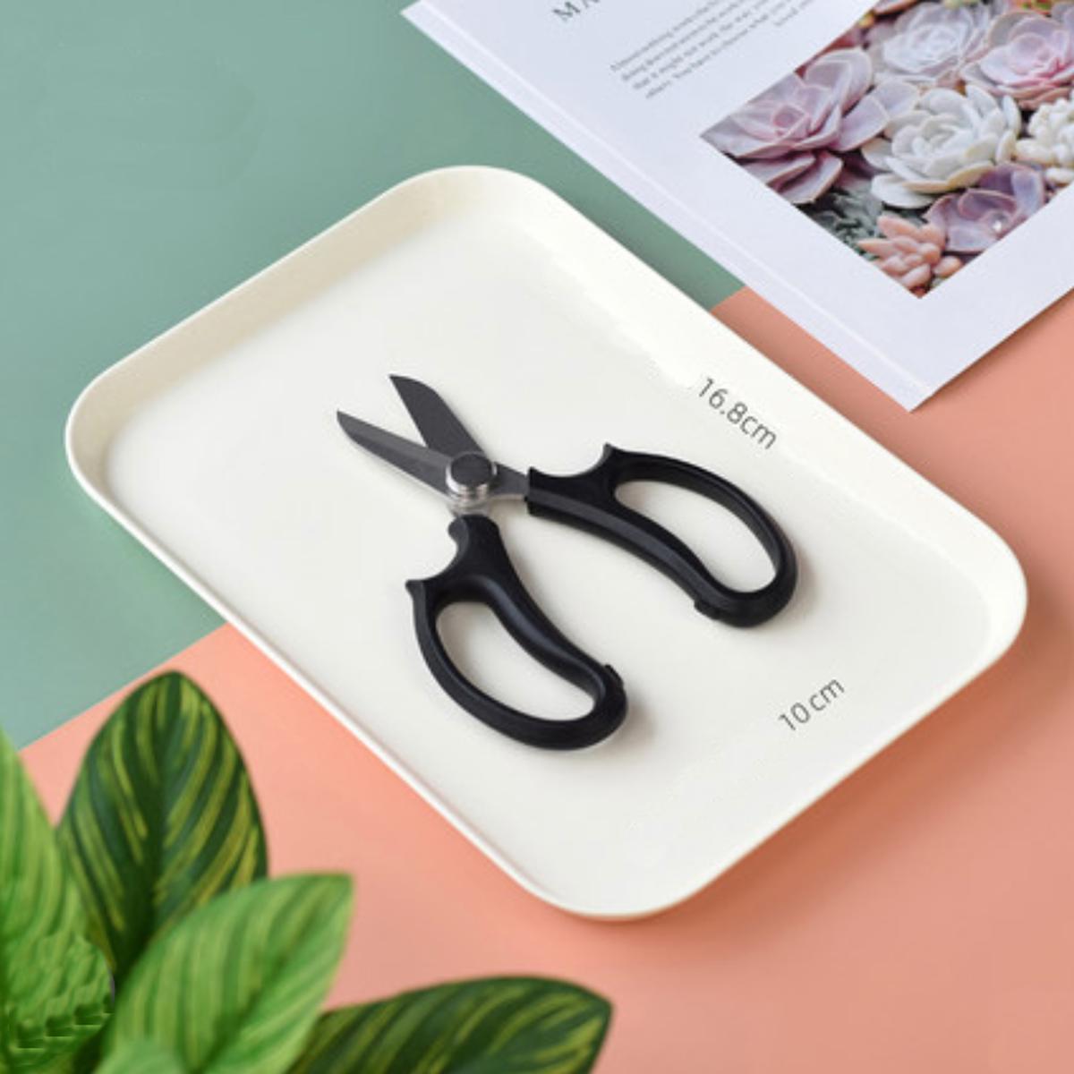 Pruning Scissors