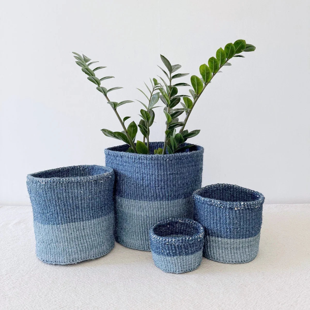 Rivers Plant Basket
