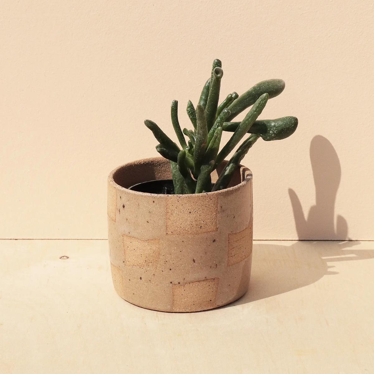 Checkerboard Planter