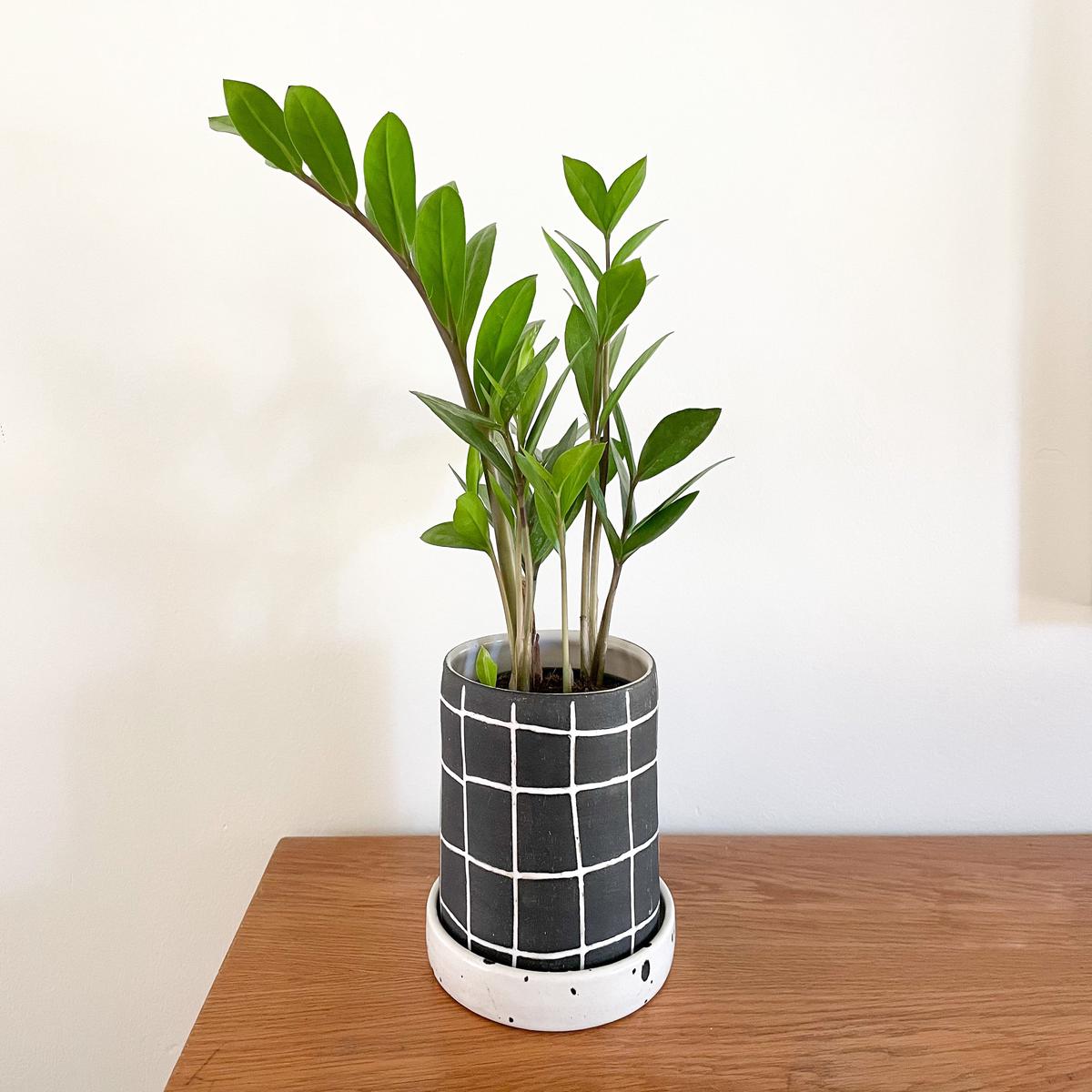 Black & White Grid Planter
