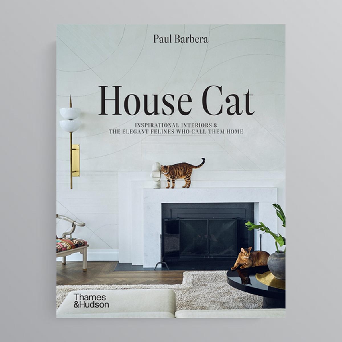 House Cat by by Paul Barbera