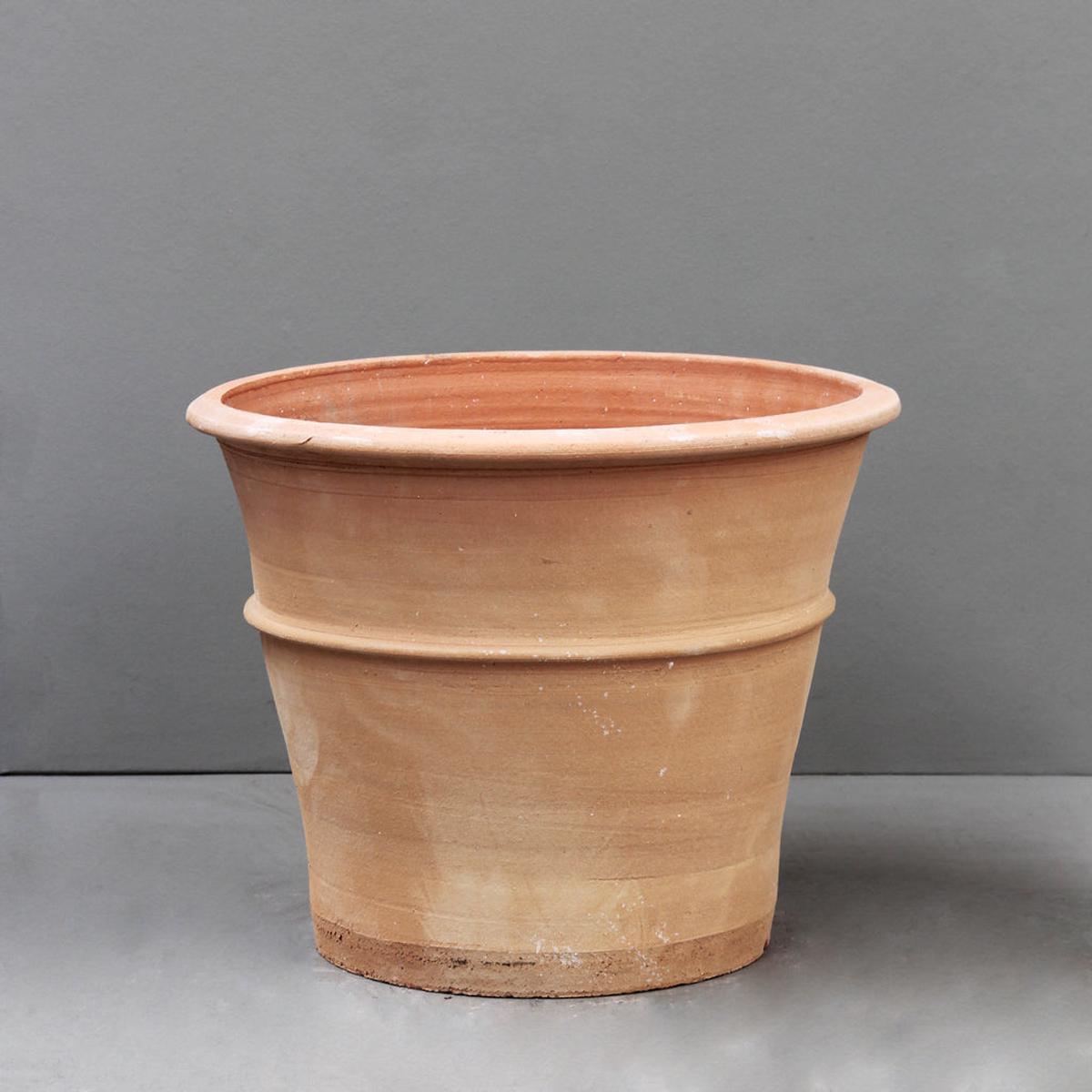 Pisco Planter