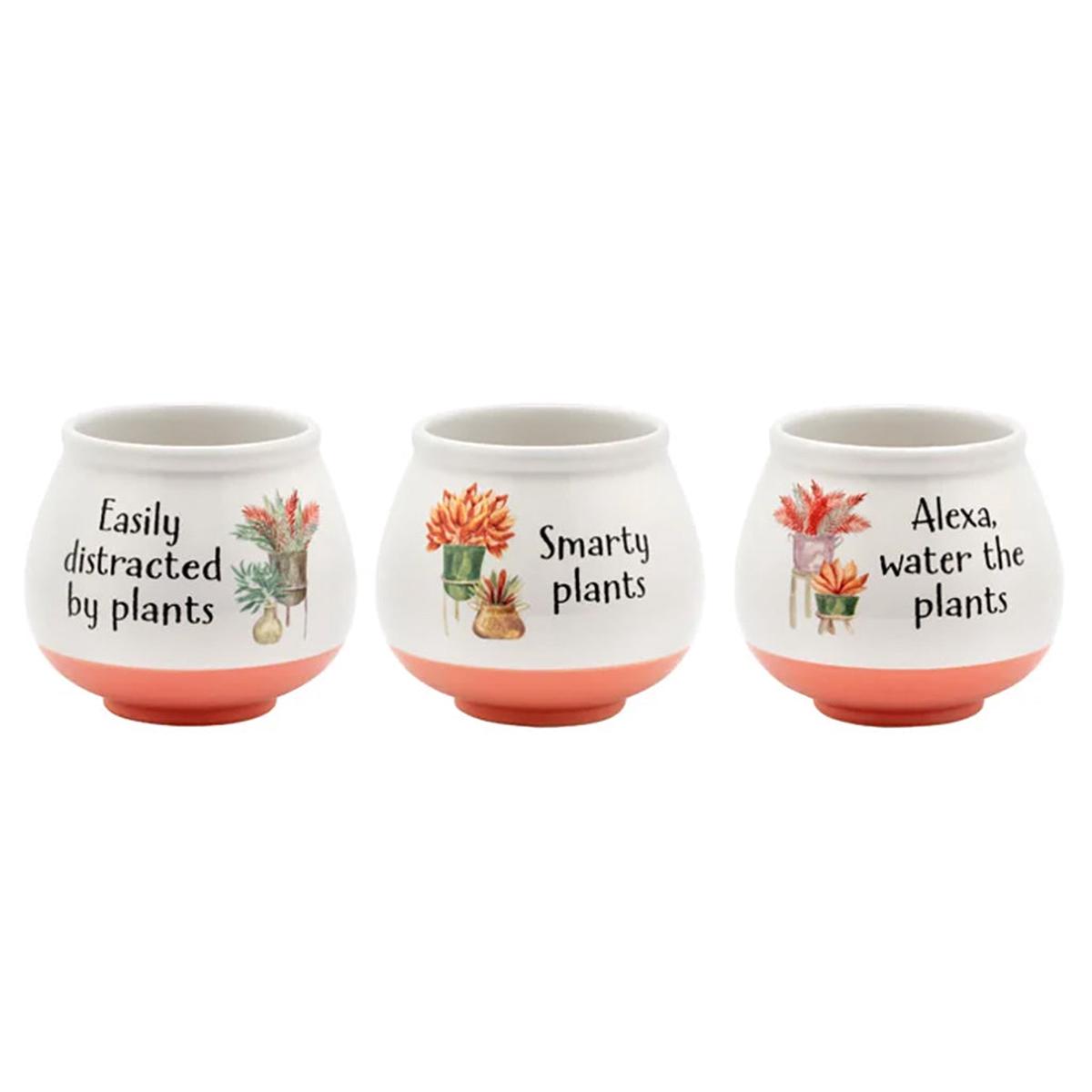Witty Coral Pot