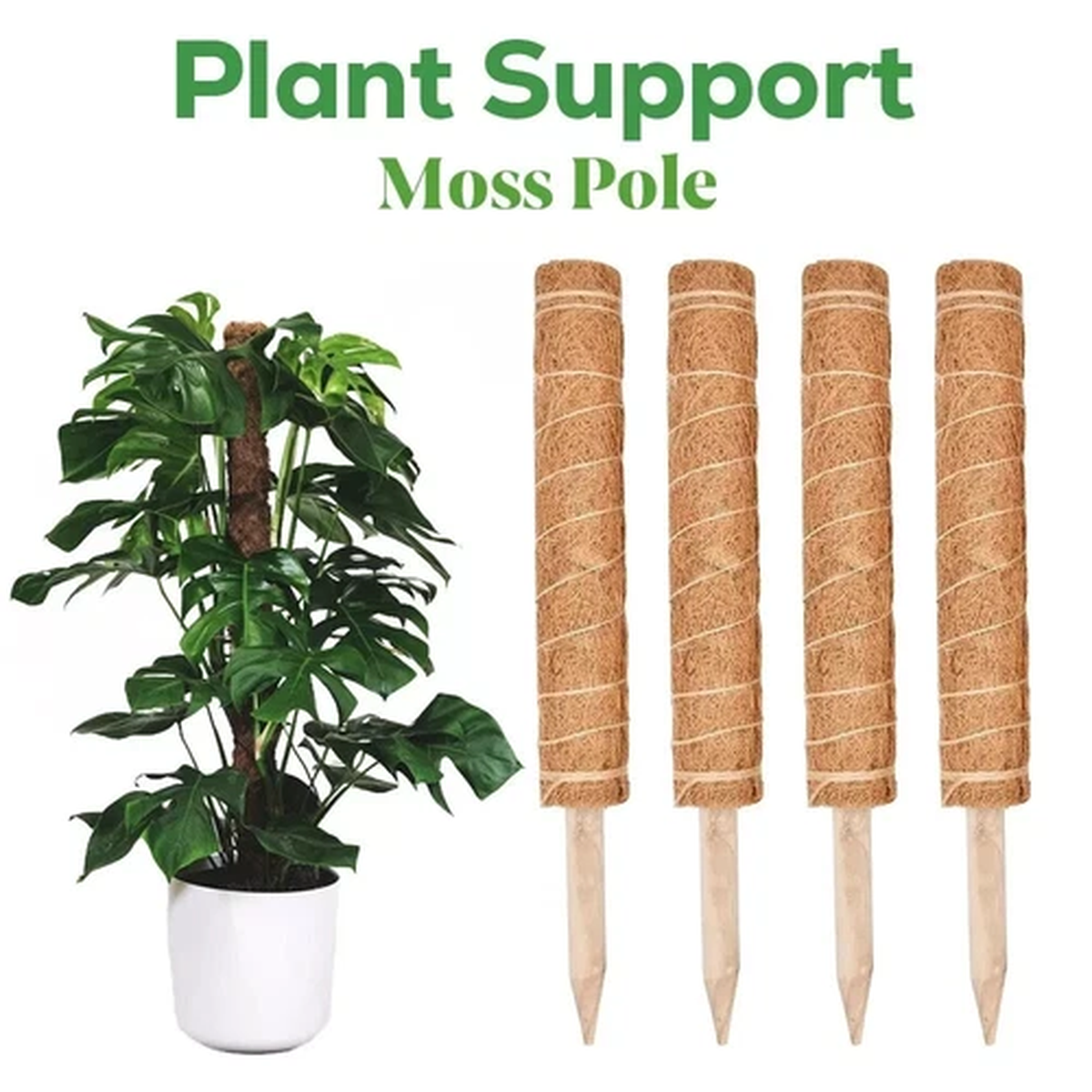 4pc Plant Grow Support Moss Pole Plants Indoor Climbing Totem Vine Plants