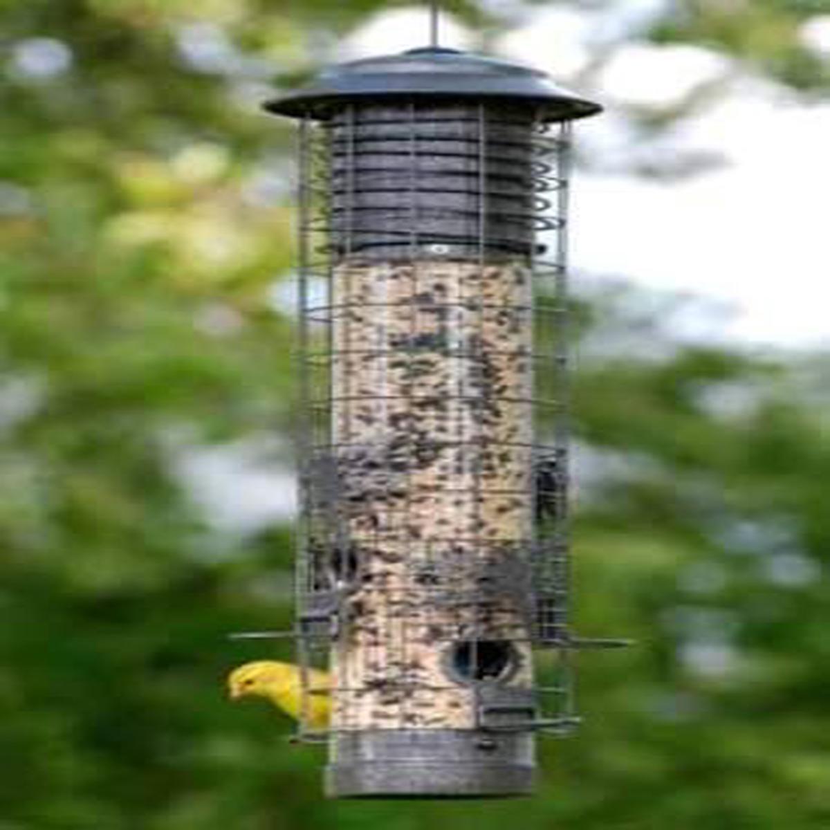 Dragonfly Tube Feeder