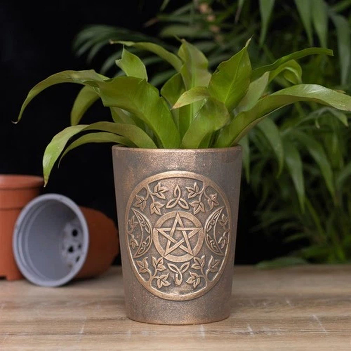 Pagan Triple Moon & Pentagram Bronze Colour Terracotta Plant Pot by Lisa Parker