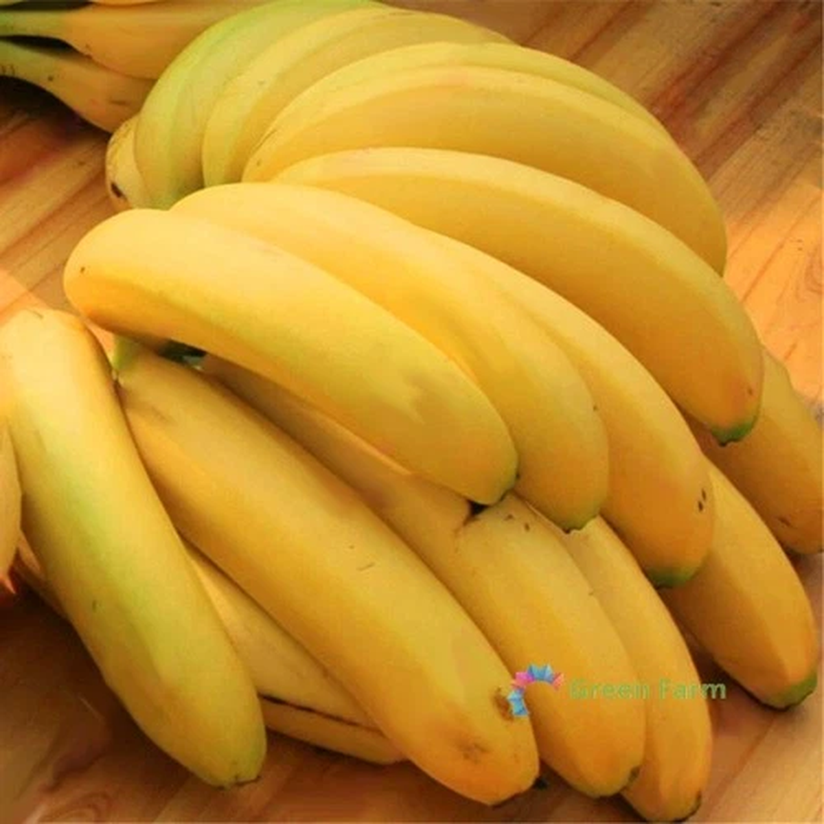 100 Seeds Big Hainan Yellow Banana Tree Musa Tropical Garden Plant Edible Fruits
