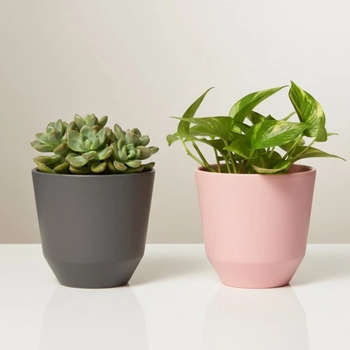 Ceramic Plant Pot Indoor Cache Planter Medium Outdoor 13 x 13cm Fits 12cm Pots