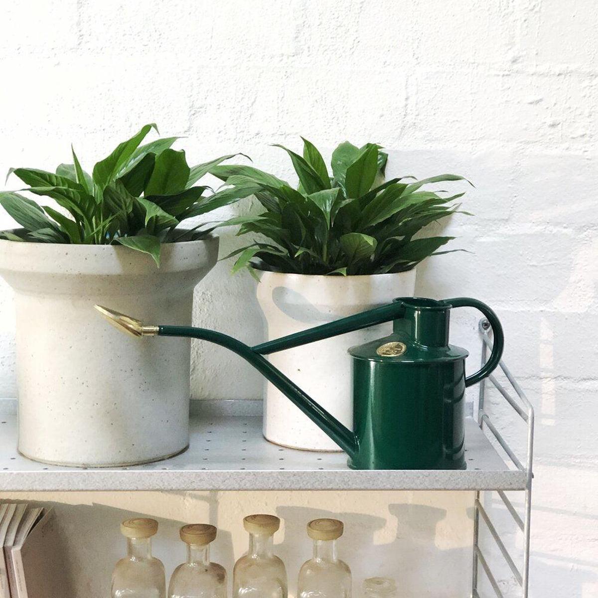 Metal Watering Can by Haws