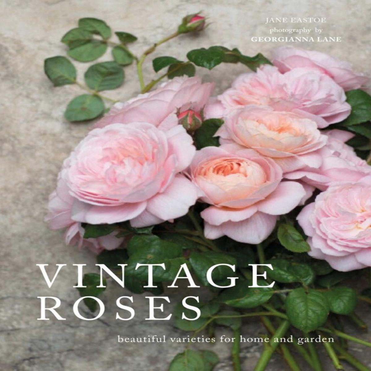Vintage Roses by Jane Eastoe