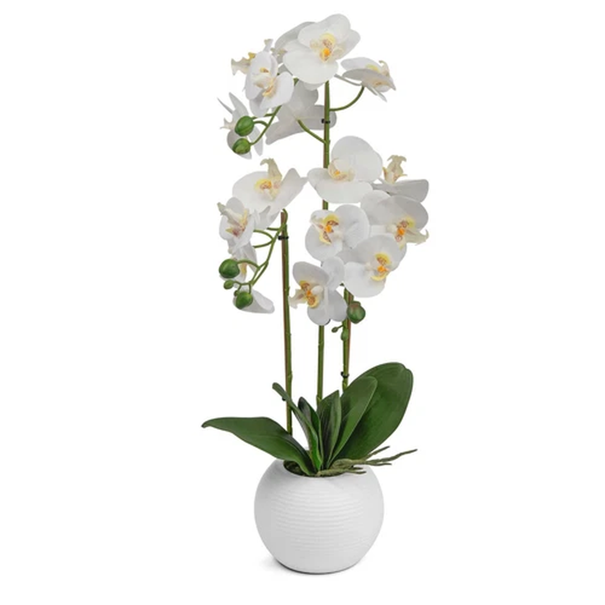 Artificial Orchid Flower Display in Pot 60cm White Realistic Home Party Decor