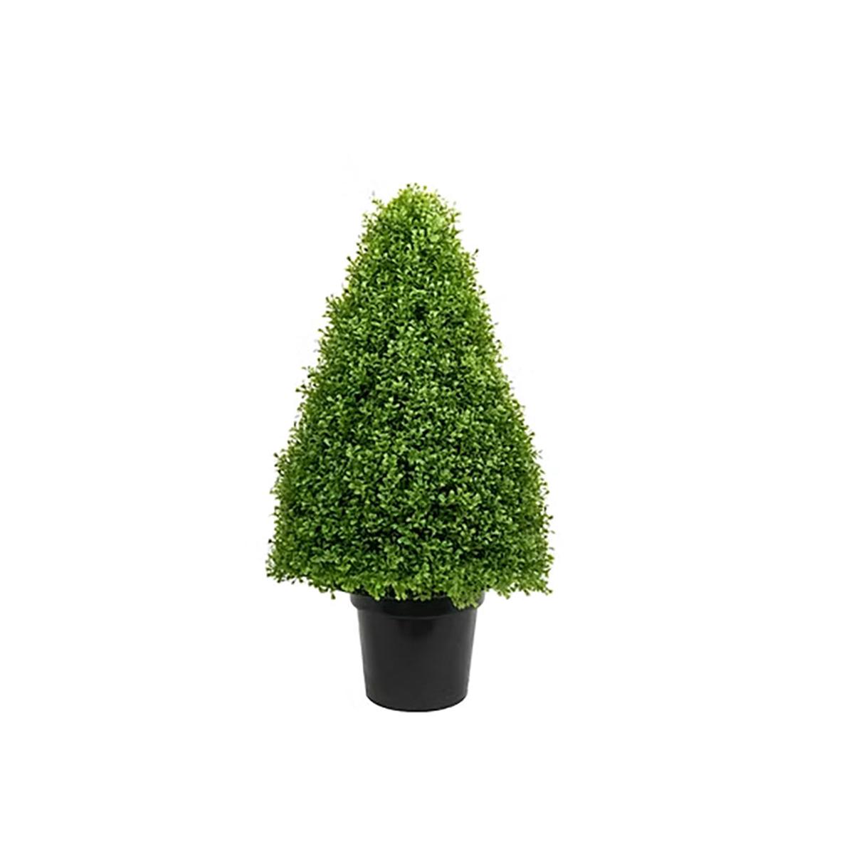 Boxwood Cone Topiary 30" Everlasting