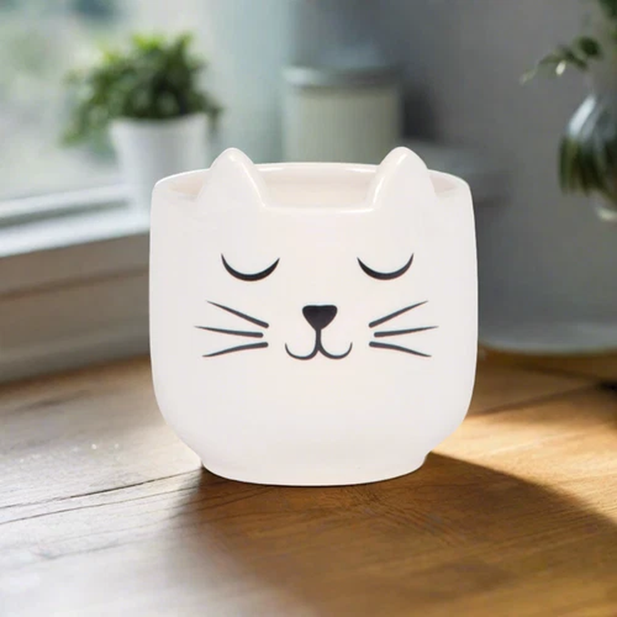 Sass&Belle Cats Whiskers White Planter Vase Indoor Plant Pot Home Decor Gift New