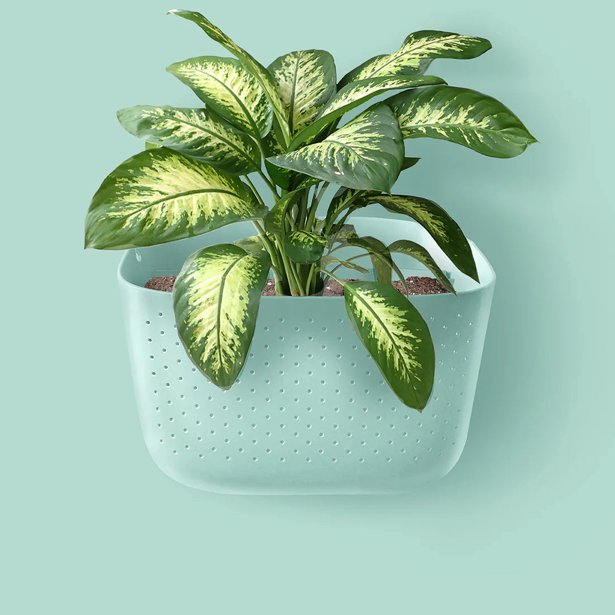 Sky Blue Eco Wall Planter