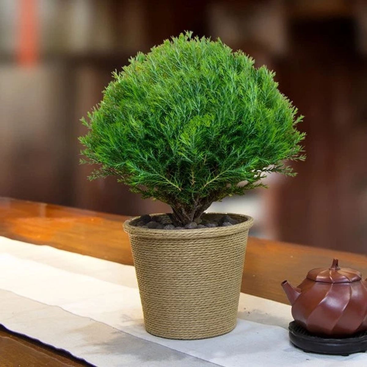 Decorative Garden Flower Pot Container Decoration Planter Creative