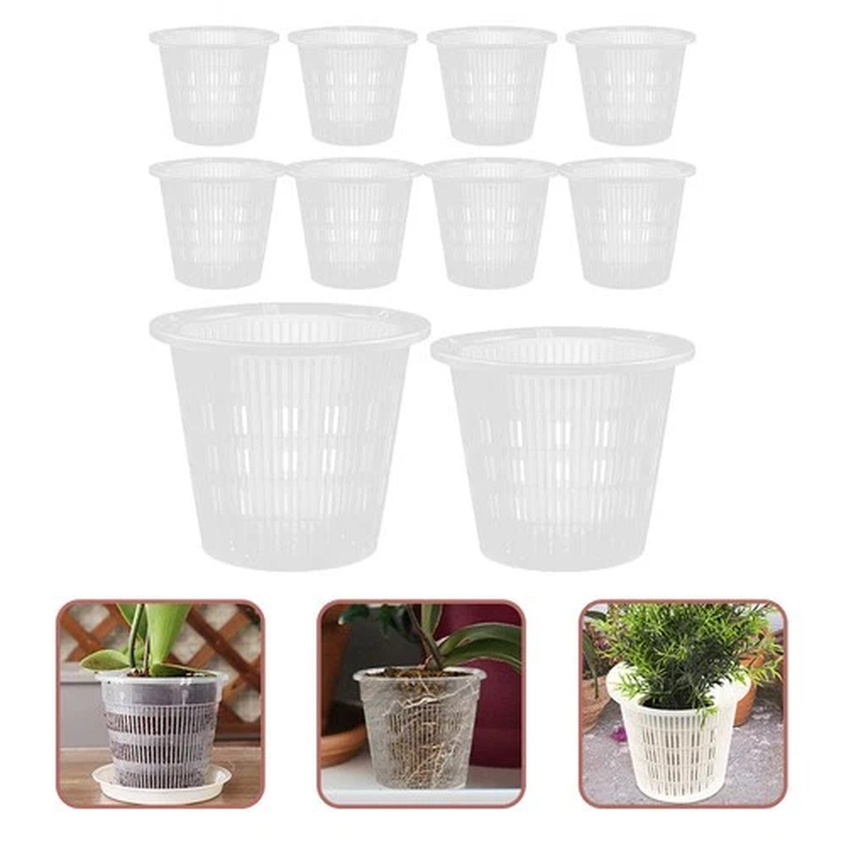 10 Pcs Root Control Pot Orchids Pots Planter Flower for Outdoors Clear