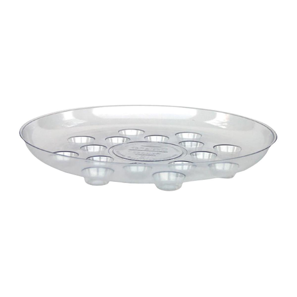 Carpet Saver Clear 12In