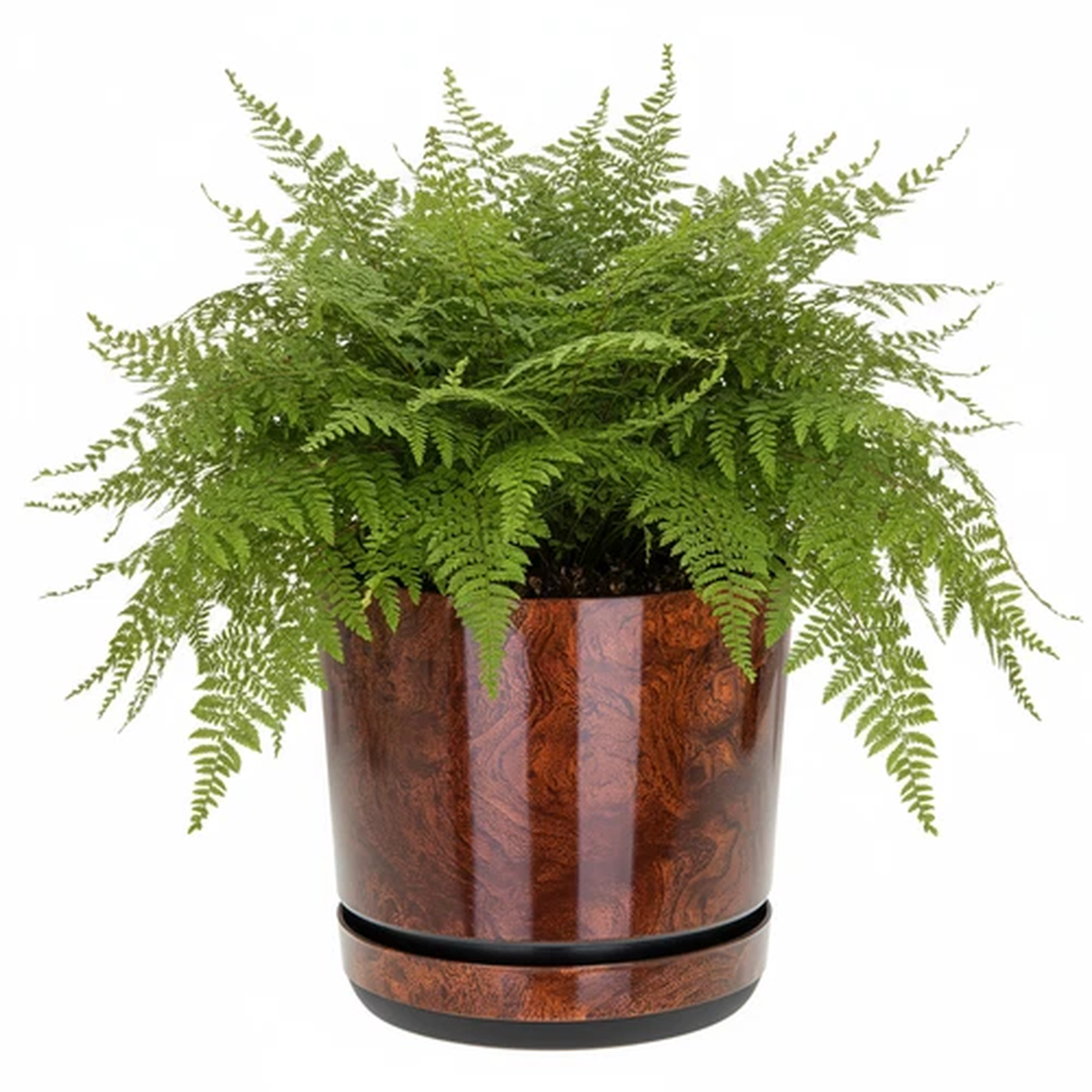 Wood Effect Gloss Flower Planter Plastic Pot + Saucer Tray for House Plants