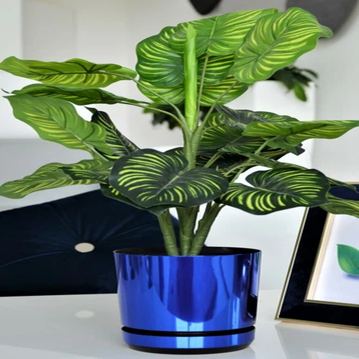 Blue Indoor Plant Pots with Saucers and Drainage Holes Plastic Flowerpot 6 Sizes