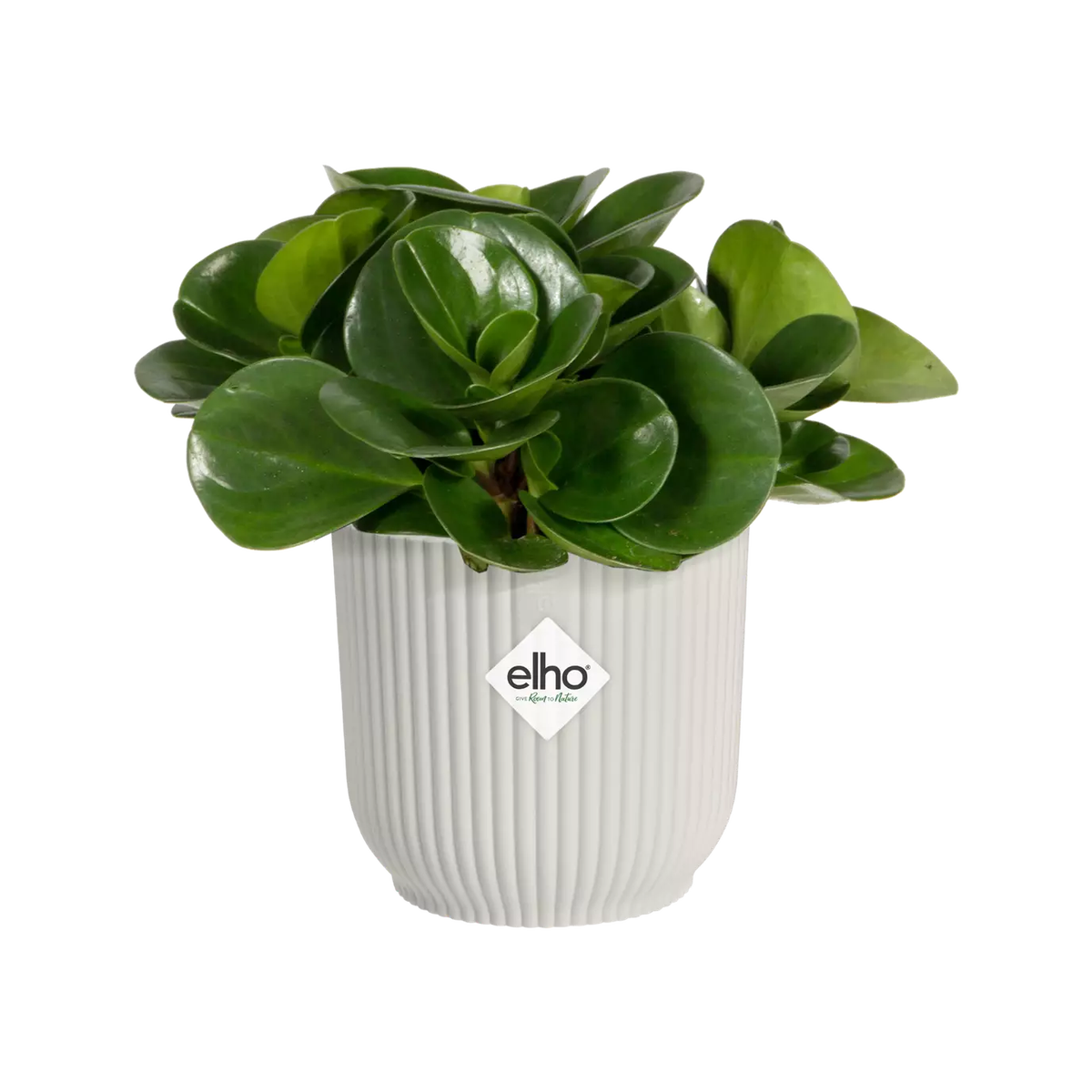 Vibes Fold Round Mini 11cm Silky White