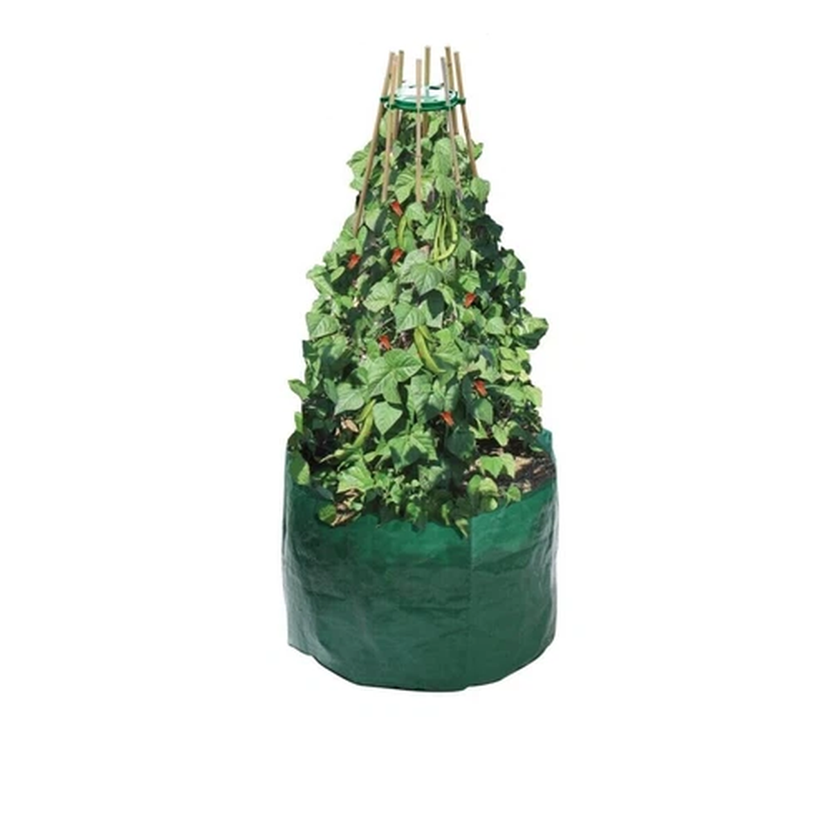 Garland Pea & Bean Planter Grow Bag Pot Patio Garden Green Runner W/ Cane Ring