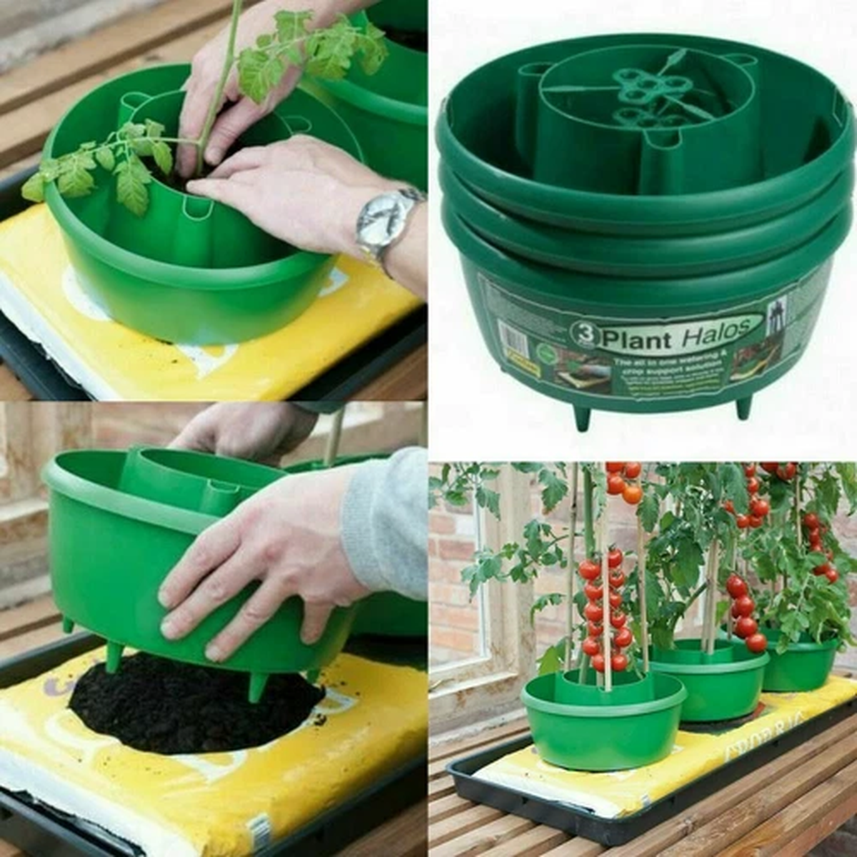 SET OF 3 GARDEN TOMATO PLANT HALO TOMATOES GROW PLANTER WATER POT TUB HALOS NEW