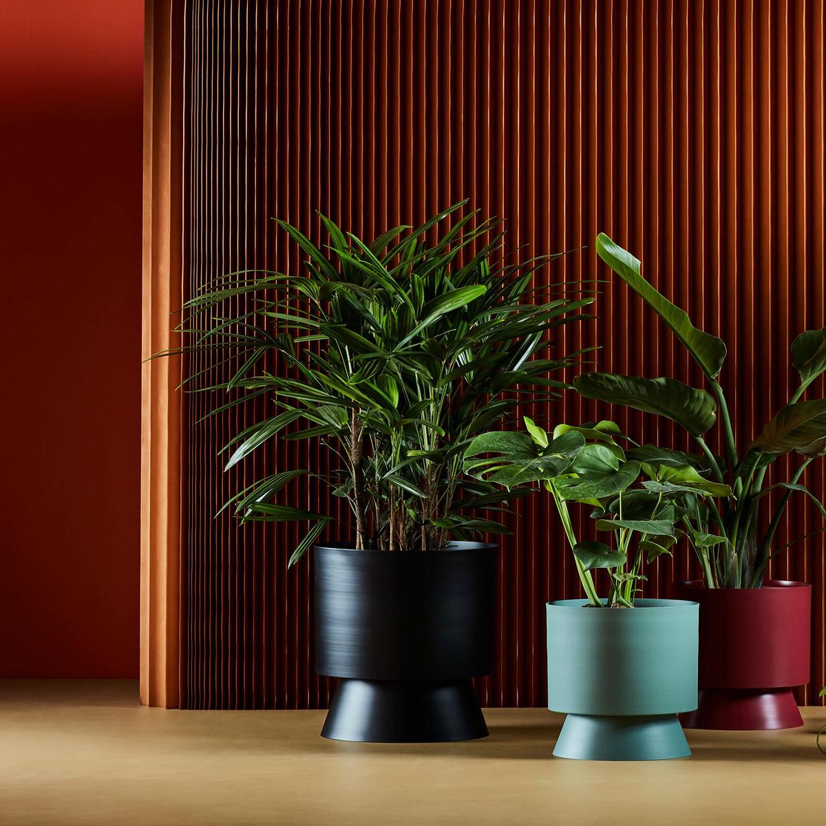 Large Palm Springs Planter by Lightly