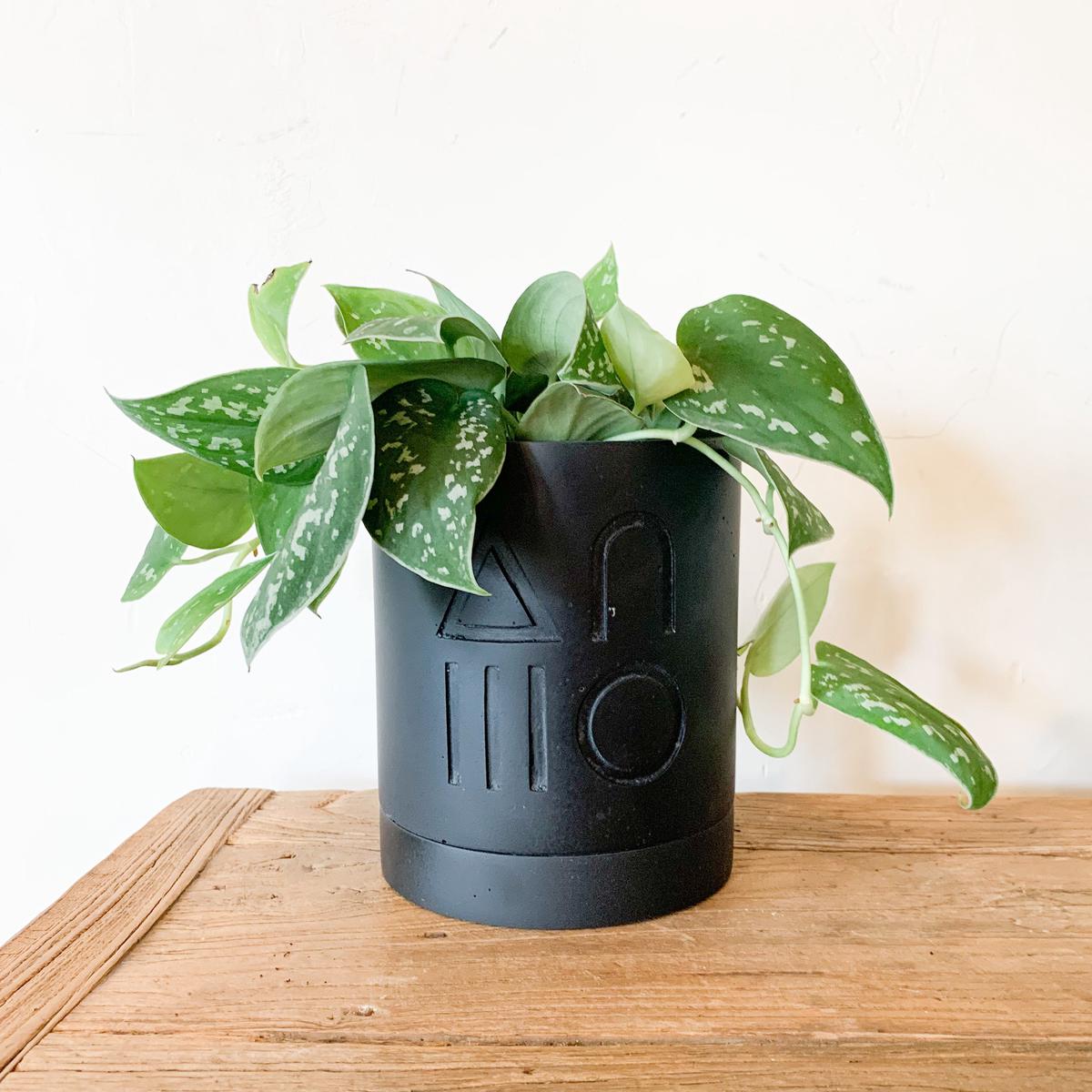 Midnight Etch Planter Set