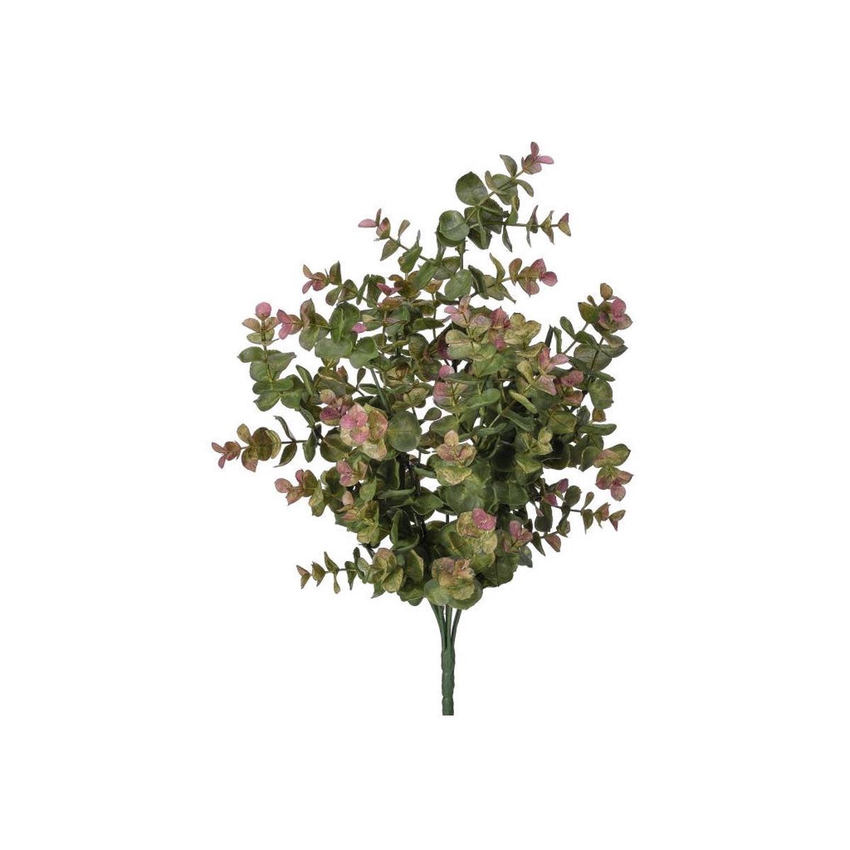Variegated Eucalyptus Bush 15.5" Green Pink Everlasting