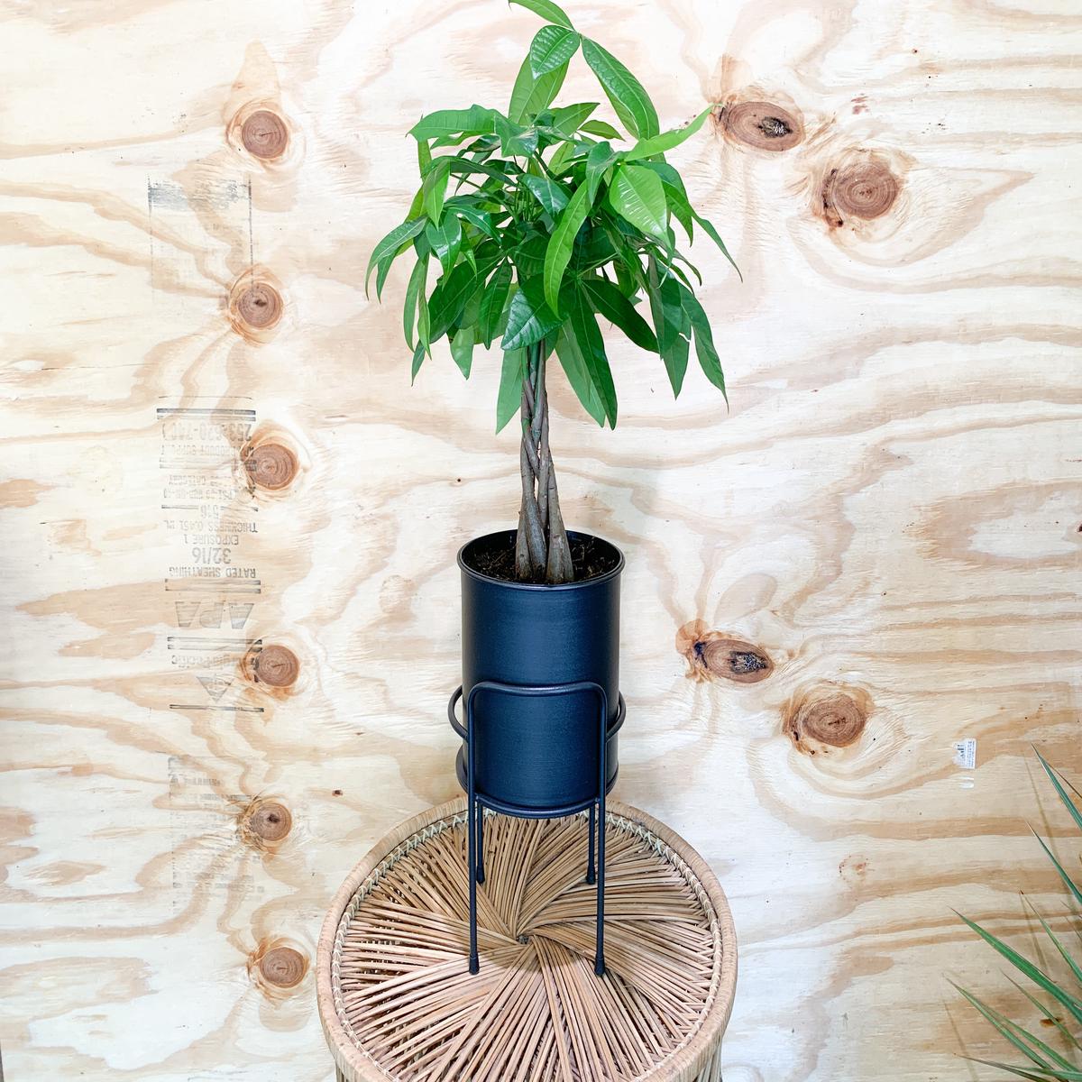 Black Metal Planter Stand