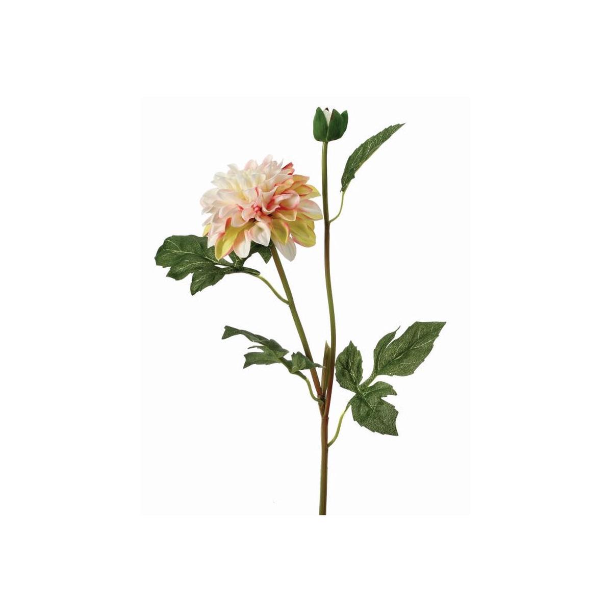 Garden Dahlia Spray and Bud 24" Cream Everlasting