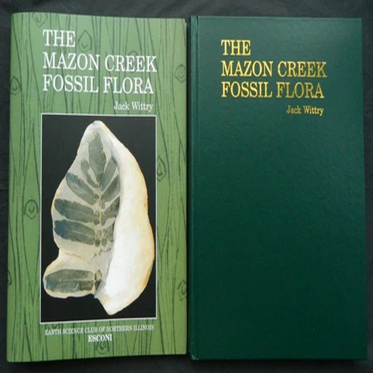The Mazon Creek Fossil Flora, ESCONI hard cover book, fossil plants, 2006 Wittry