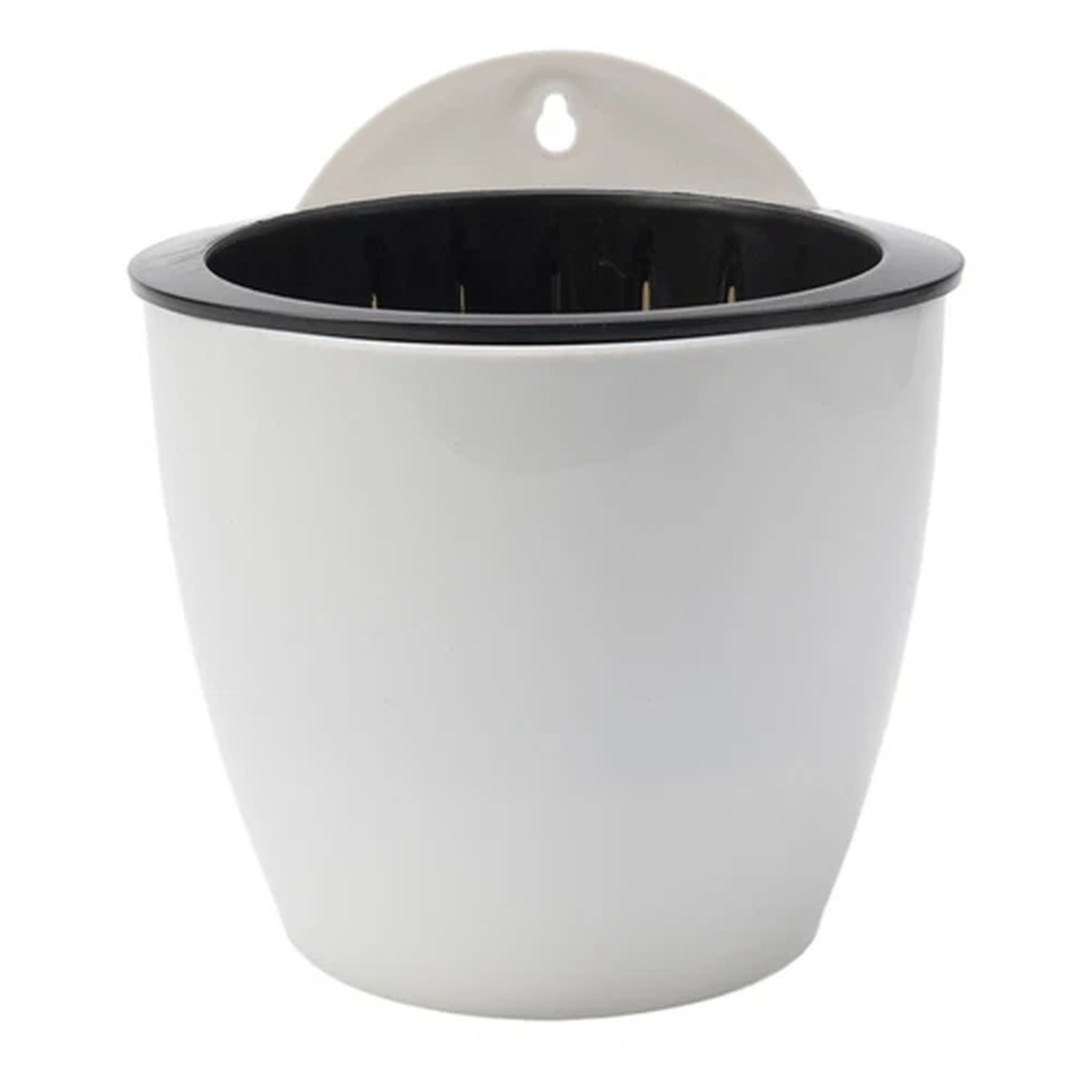 Versatile wall mounted flower pot with automatic water absorption feature