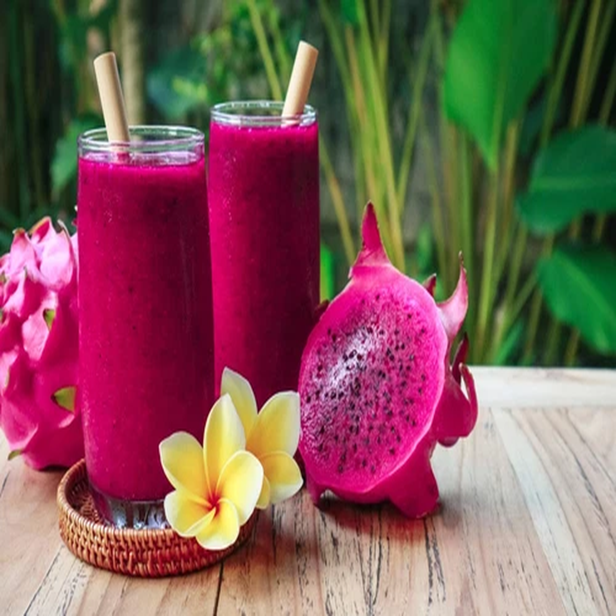 20 PURPLE DRAGON FRUIT (Pitaya / Pitahaya / Strawberry Pear) Hylocereus Undatus