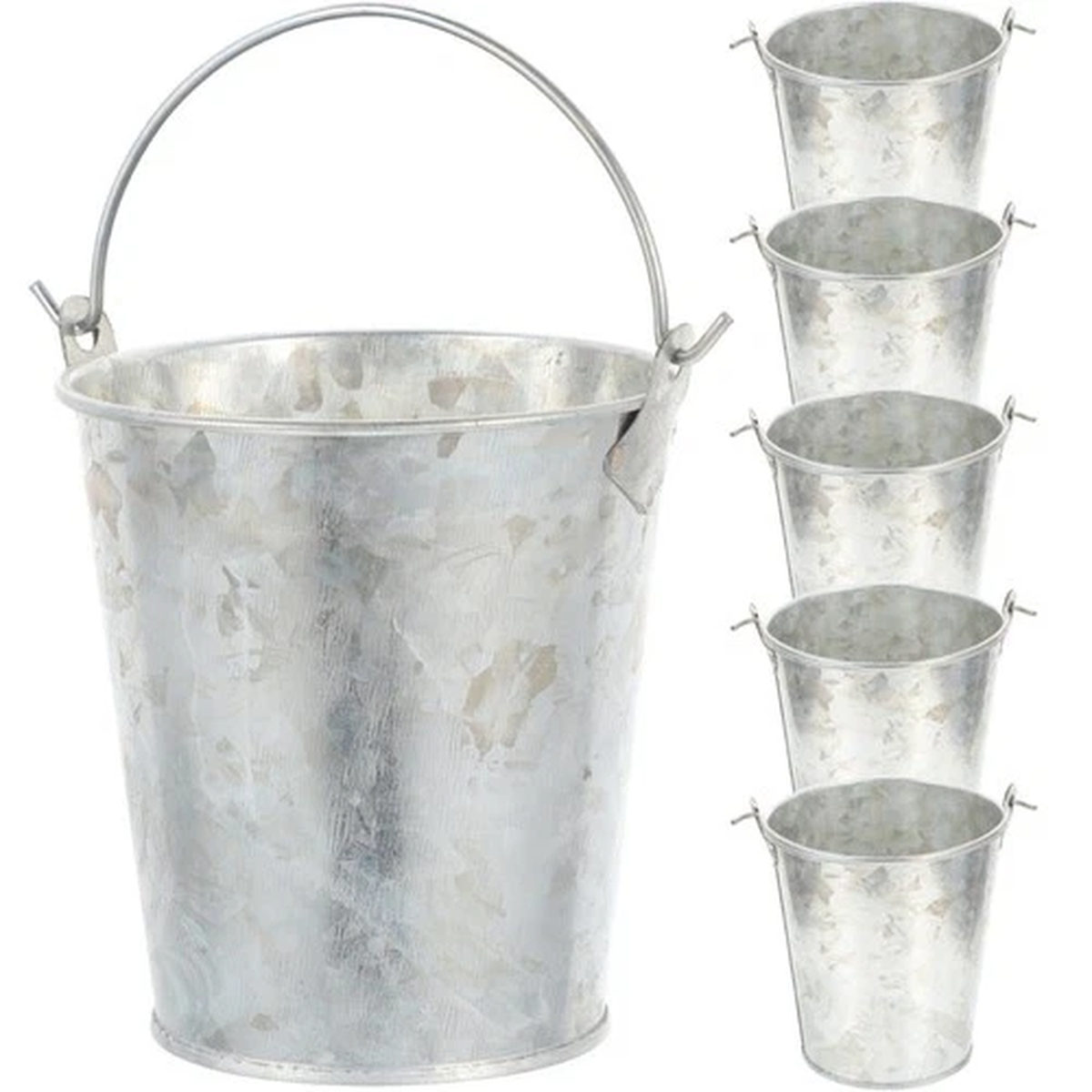 6 Pcs Small Garden Planter Iron Flower Pot Containers for Flowers