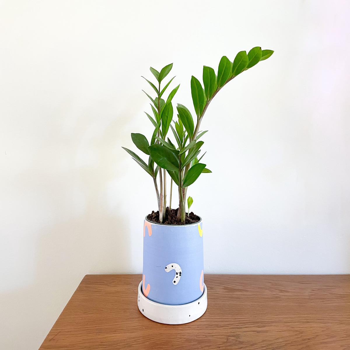 Multi-Color Arch Planter