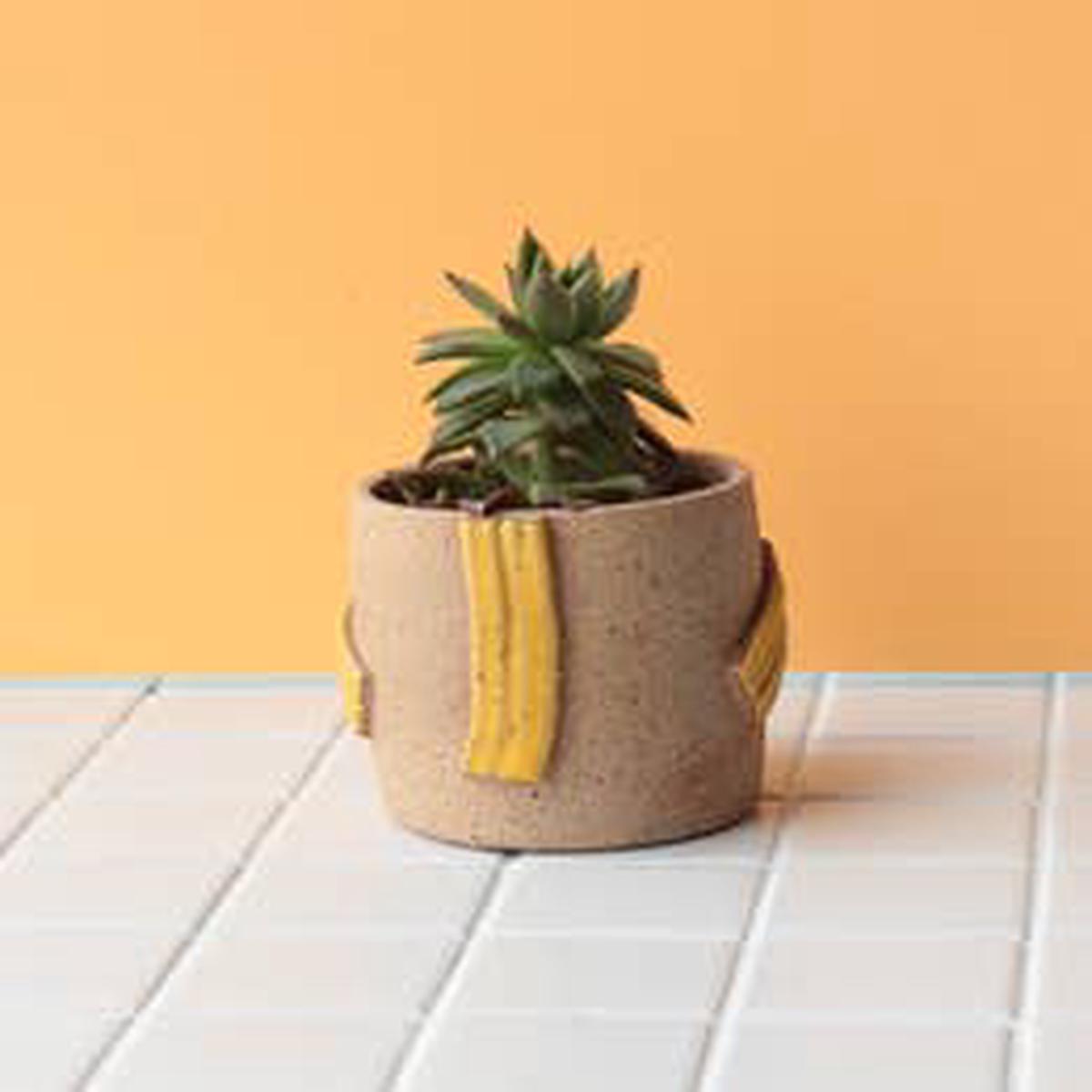 Nightshift Ceramics Line Planter - Sunshine