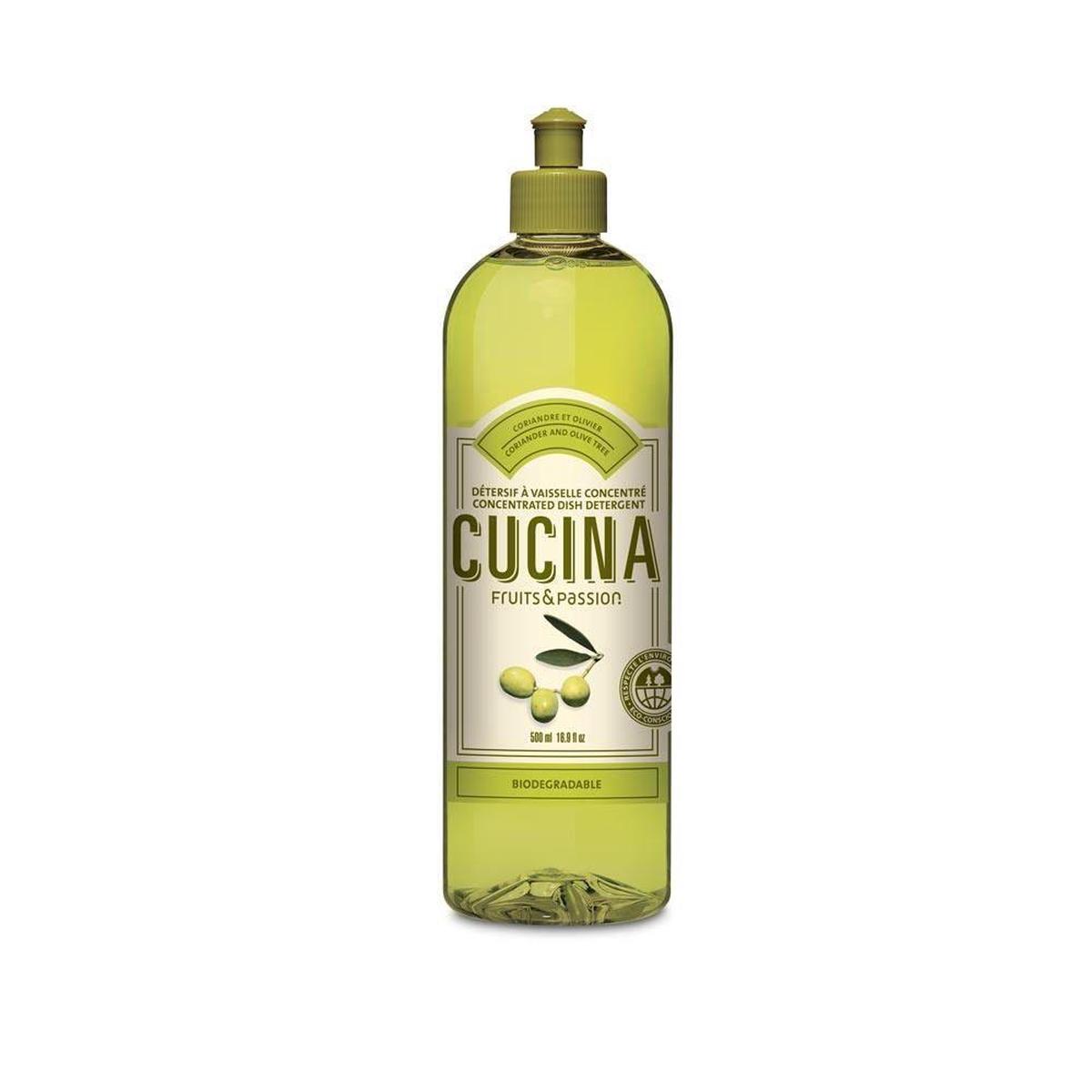 Fruits & Passion Dish Detergent Coriander & Olive Tree