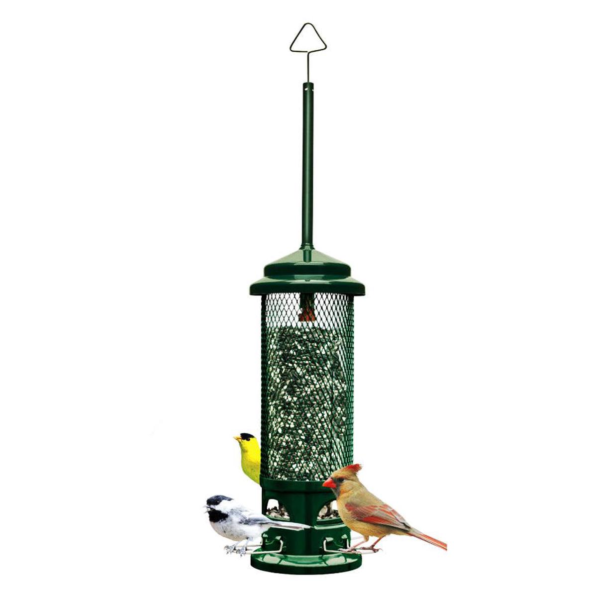 Squirrel Buster Legacy