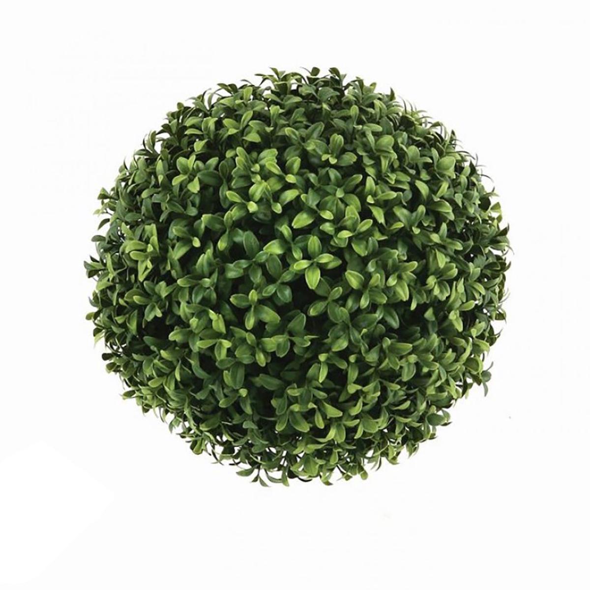 Boxwood Ball Everlasting 6in