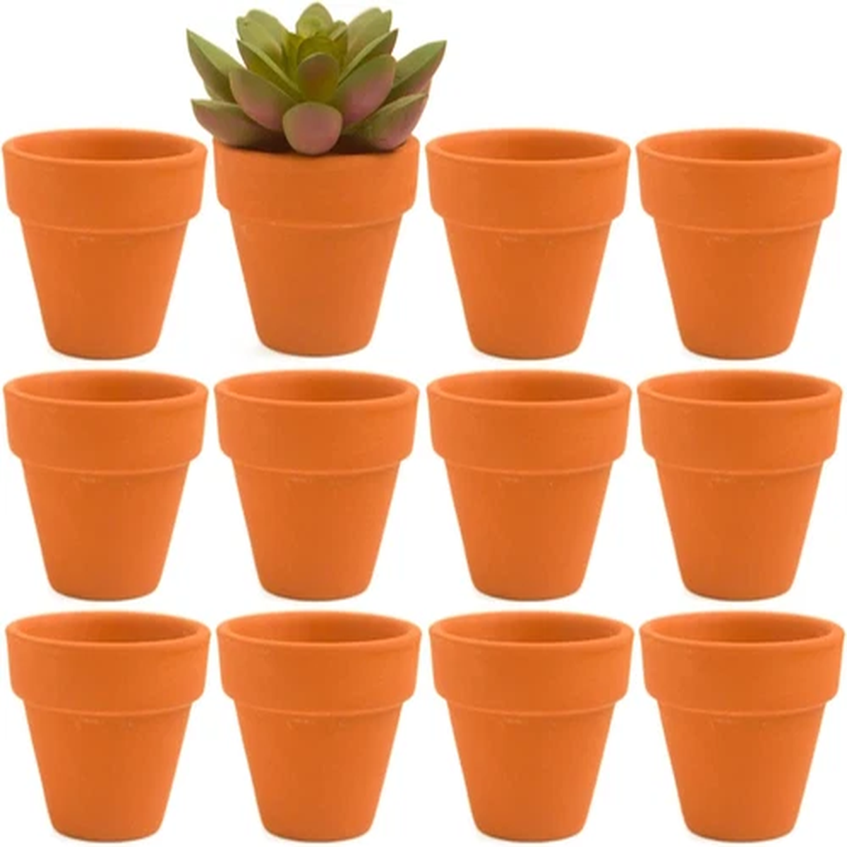 Mini Terracotta Clay Flower Pots 2 Inch with Drainage Holes for for Tiny Cactus