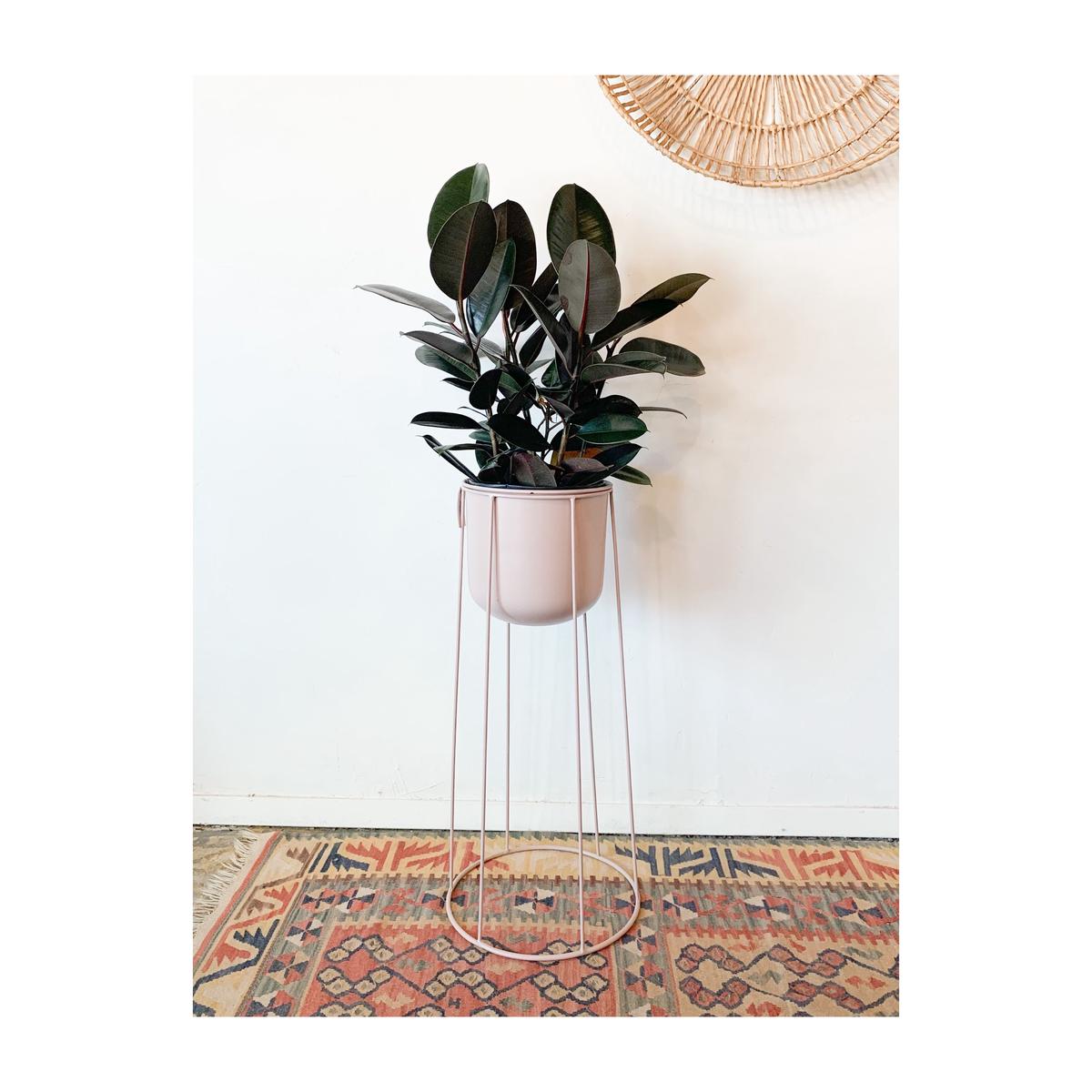 Celeste Plant Stand