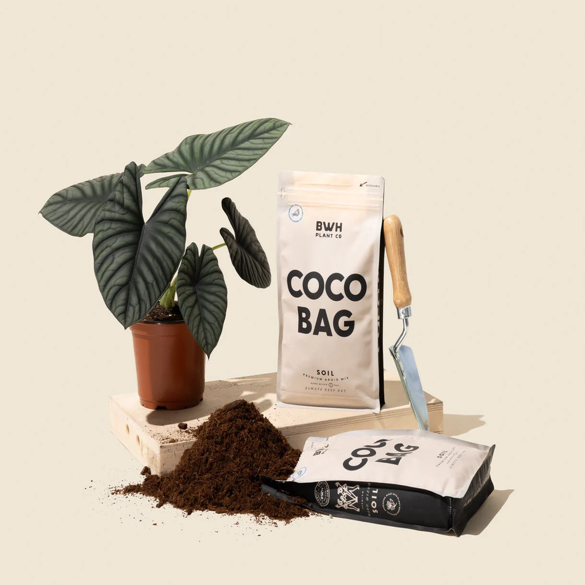 Coco Bag