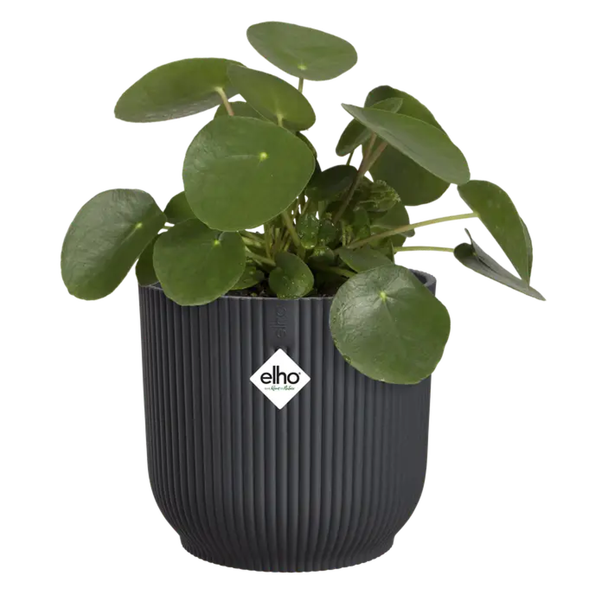 Elho Vibes Fold Round Plant Pot  16cm Anthracite