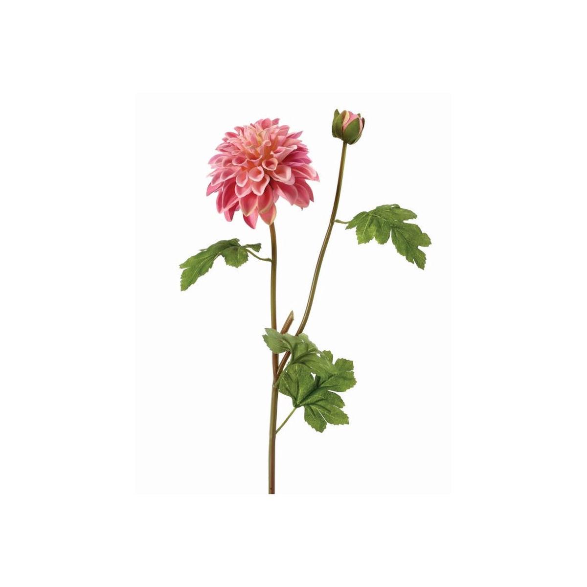 Garden Dahlia Spray and Bud 24" Mauve Everlasting