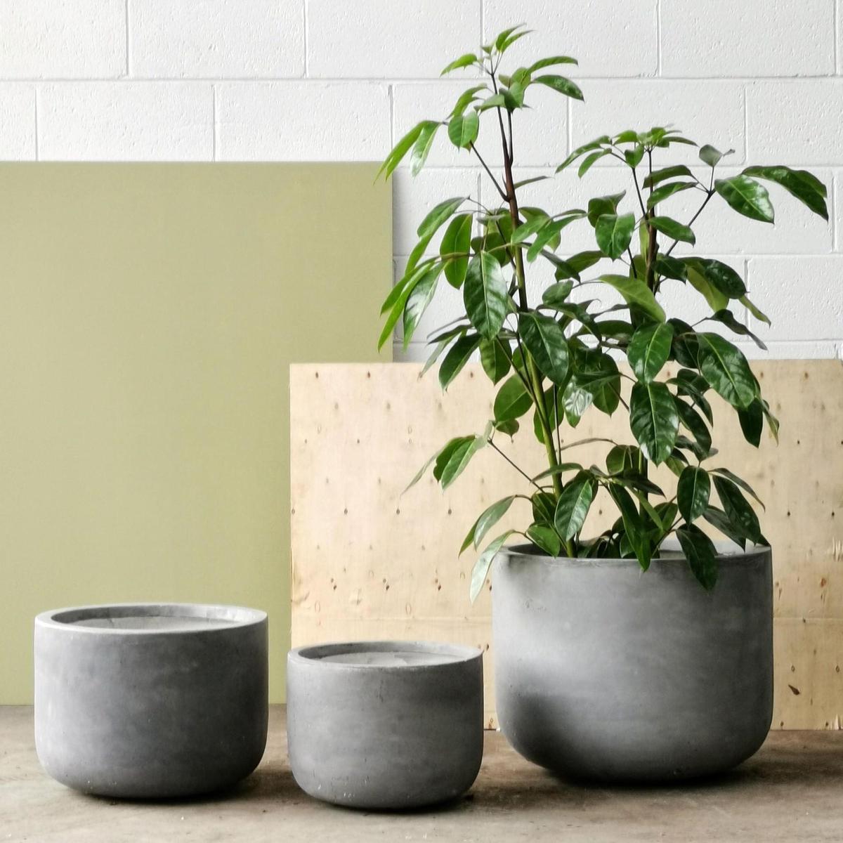 Gardeners Planter - Cement Grey