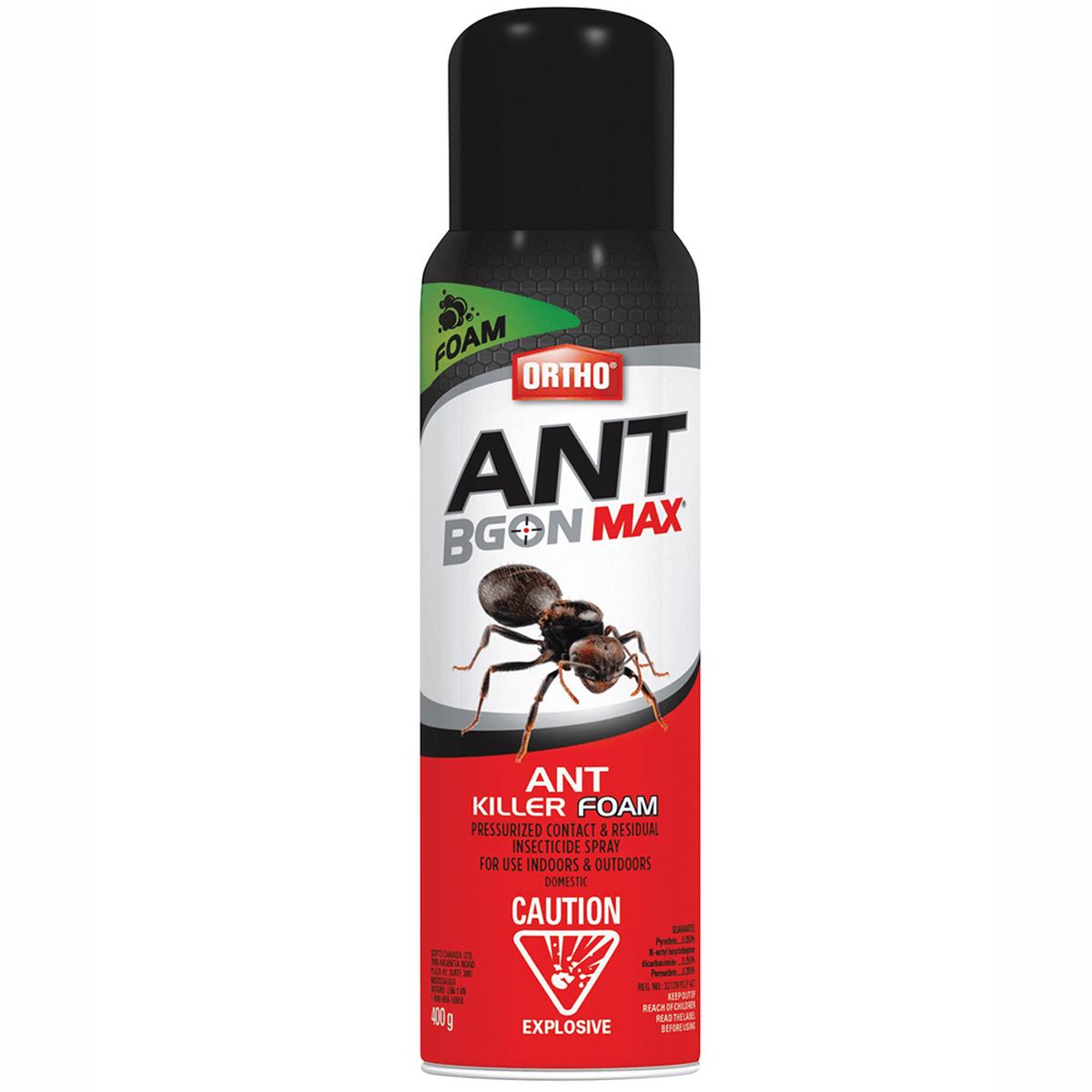 Ortho Ant B Gon Ant Killer Foam 400g