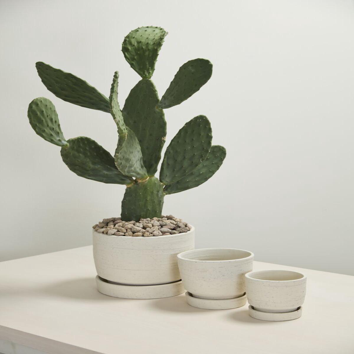 Salvage Pot