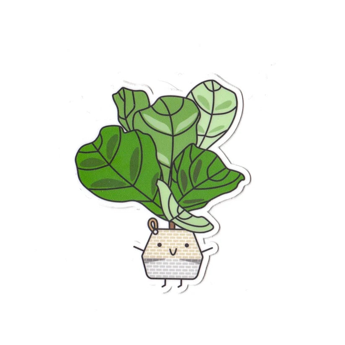 Fiddle Leaf Fig Plant Vinyl Sticker