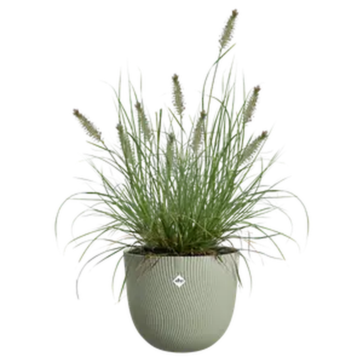 Sereh Round Nordic Green Plant Pot 30cm